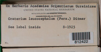 Image Associated With the Occurence